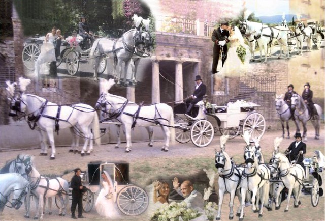 spose matrimoni e spettacoli in carrozze d'epoca e cavalli