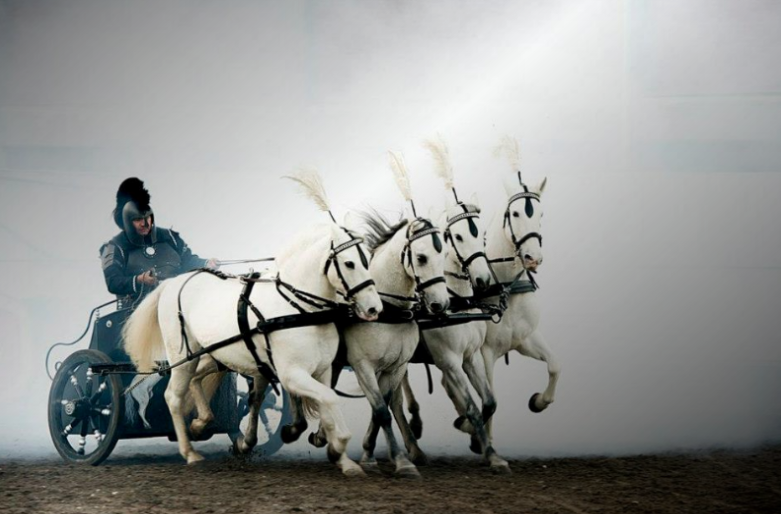 Spettacoli con cavalli in costume. Matrimoni e spose in carrozza. 